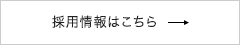 採用情報はこちら